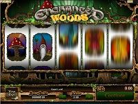 Играть в Enchanted Woods бесплатно