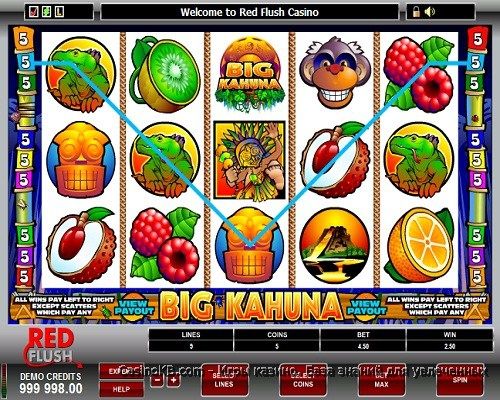 Игровой автомат Big Kahuna