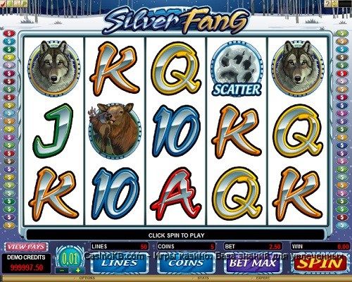 Игровой автомат Silver Fang