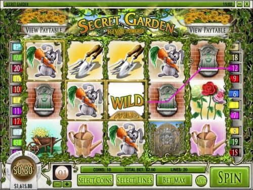 Игровой автомат Secret Garden